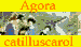 catilluscarol Agora